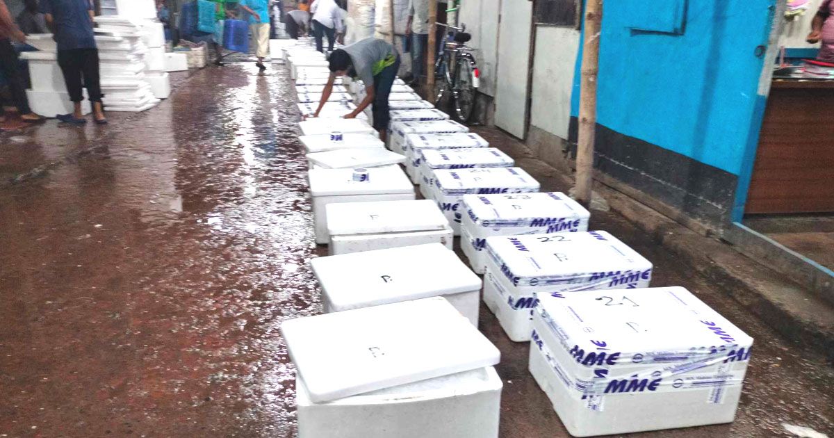 বরিশাল-থেকে-রাতেই-ভারতের-পথে-১৯-টন-ইলিশ