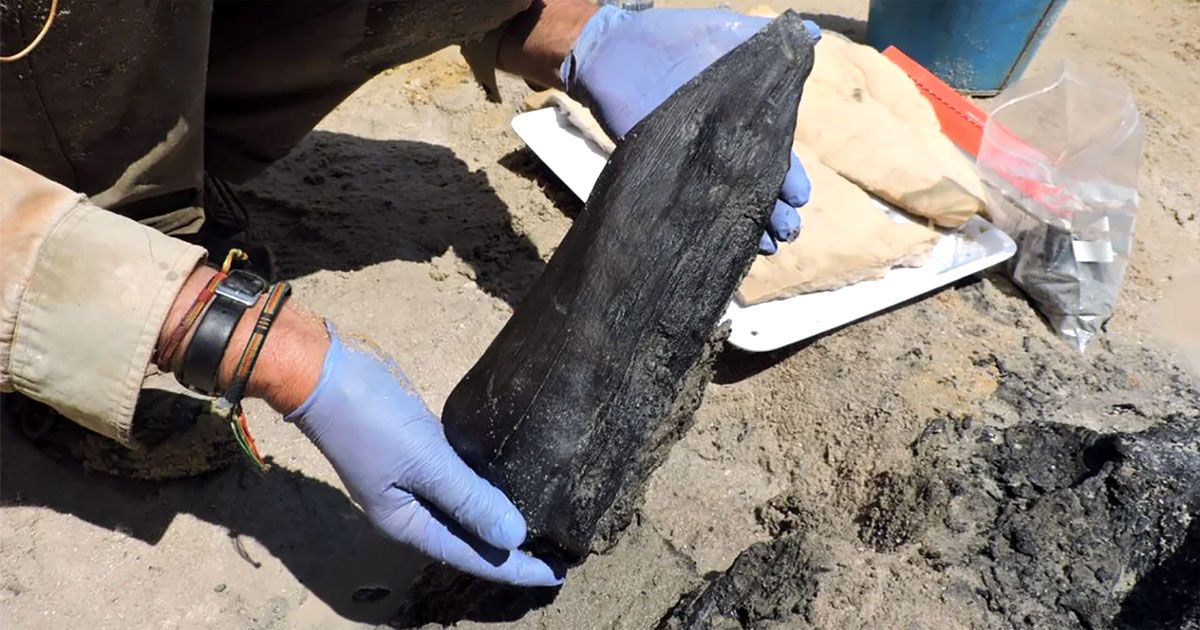 Five-million-year-old-wooden-artefacts-found-in-Zambia