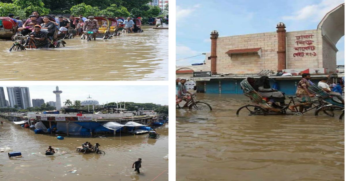 এখনও থইথই নিউ মার্কেট এলাকা