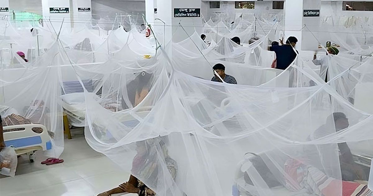 14-more-deaths-due-to-dengue-3008-hospitalized