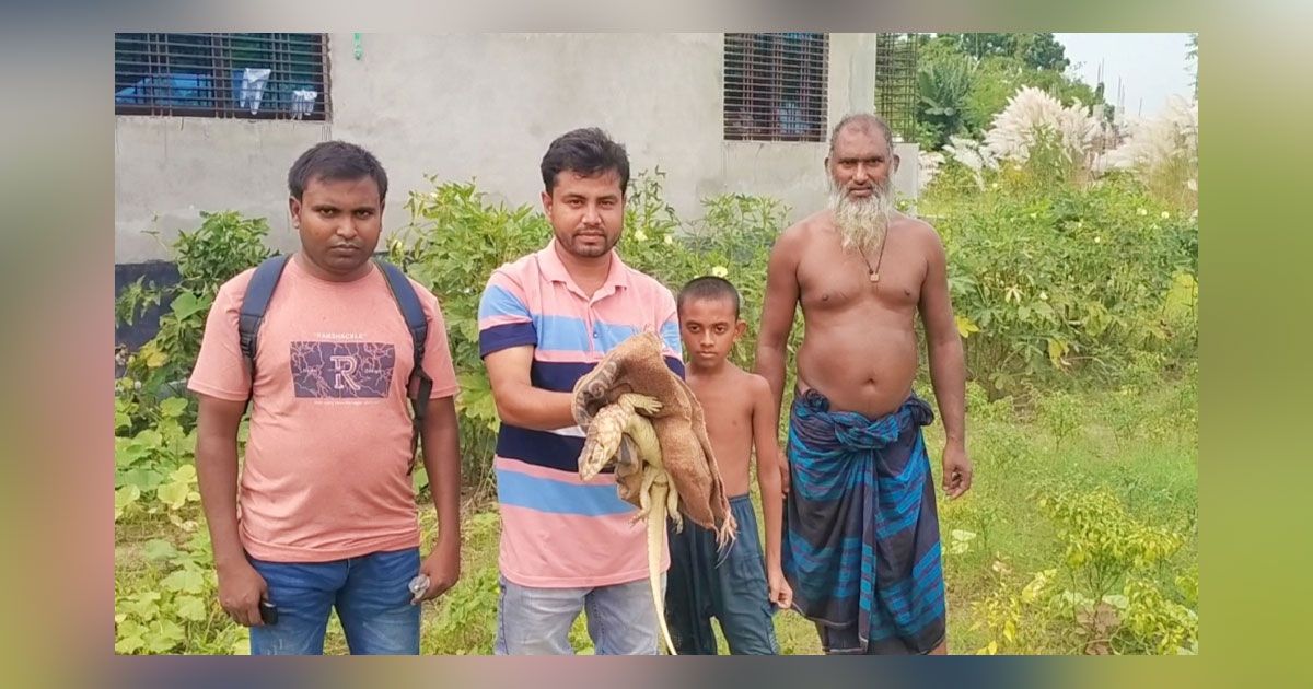 নাটোরে-গুইসাপ-উদ্ধার-করে-অবমুক্ত