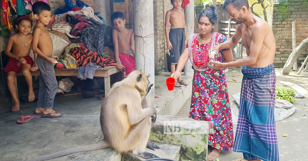 মানুষ-ও-হনুমানের-কাছে-আসার-গল্প