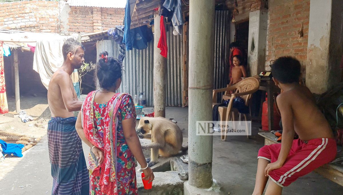 মানুষ ও হনুমানের কাছে আসার গল্প