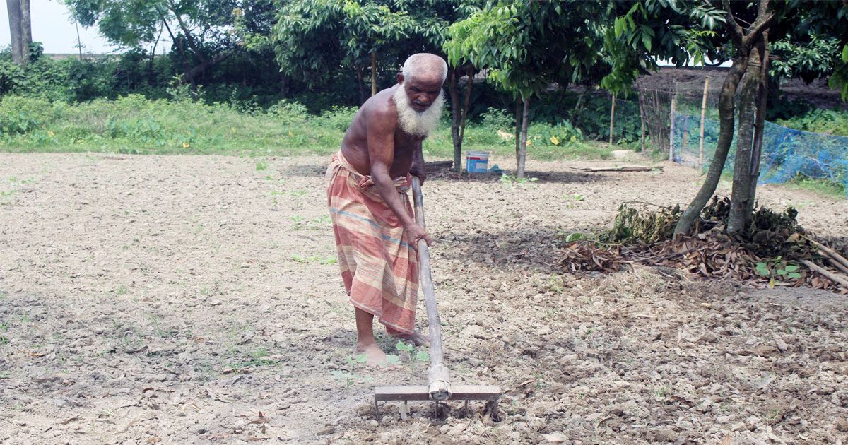 আগাম আলু আবাদে প্রস্তুত দিনাজপুরের কৃষকরা