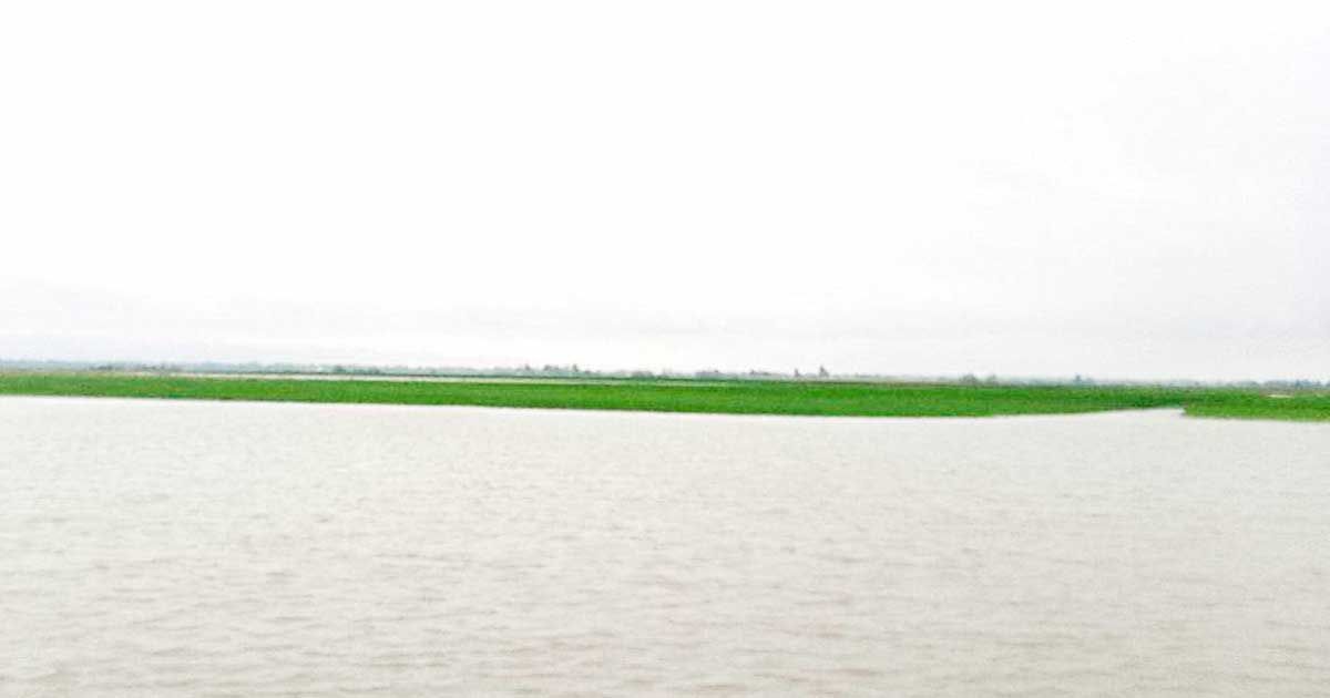 সন্ধ্যা-হতে-হতেই-গাইবান্ধায়-বিপৎসীমার-নিচে-তিস্তার-পানি