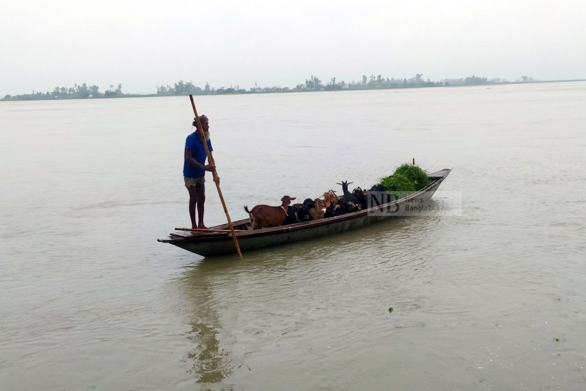 কমছে তিস্তার পানি, বাড়ছে ভাঙন আতঙ্ক