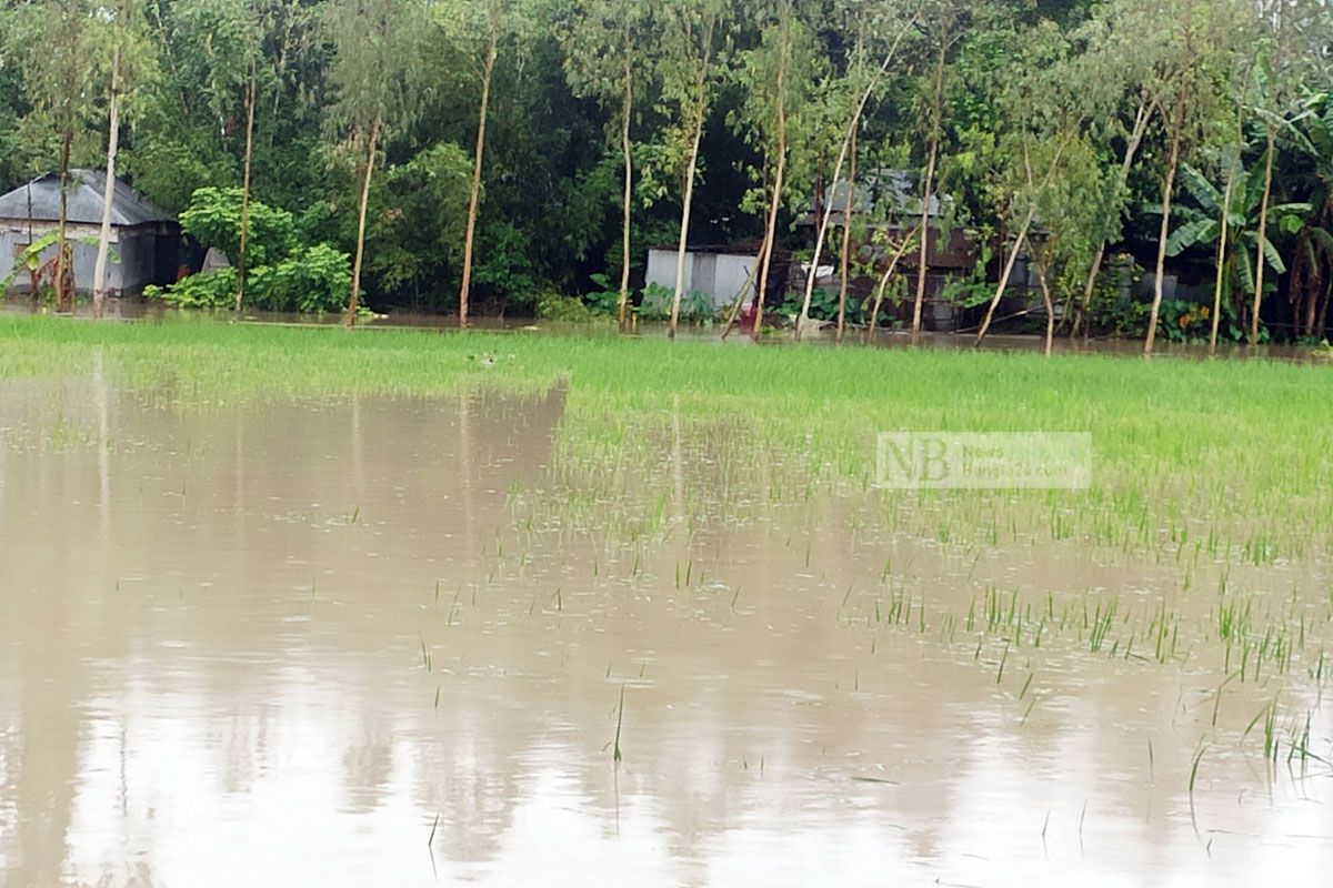 কমছে তিস্তার পানি, বাড়ছে ভাঙন আতঙ্ক