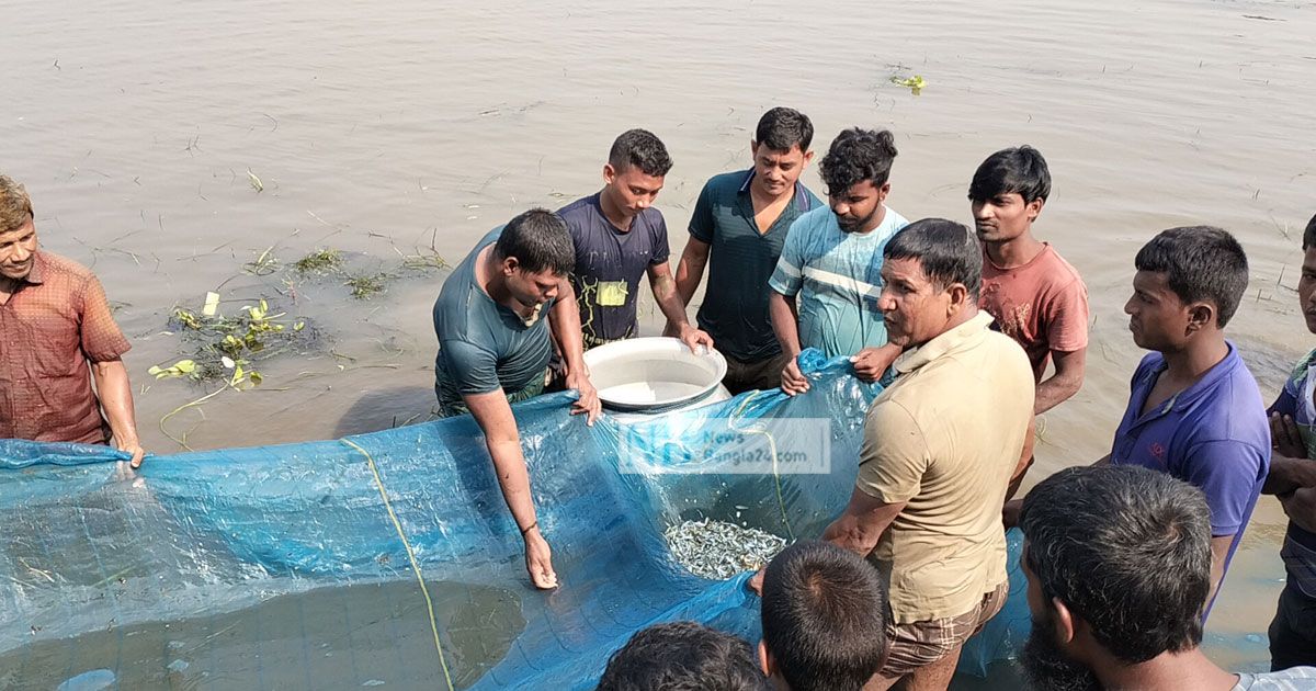 সুক নদীর বুড়ির বাঁধে দখলবাজি, মৎস্য উৎসবে ভাটা