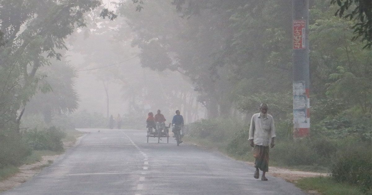নওগাঁর প্রকৃতিতে শীতের আগমনী বার্তা