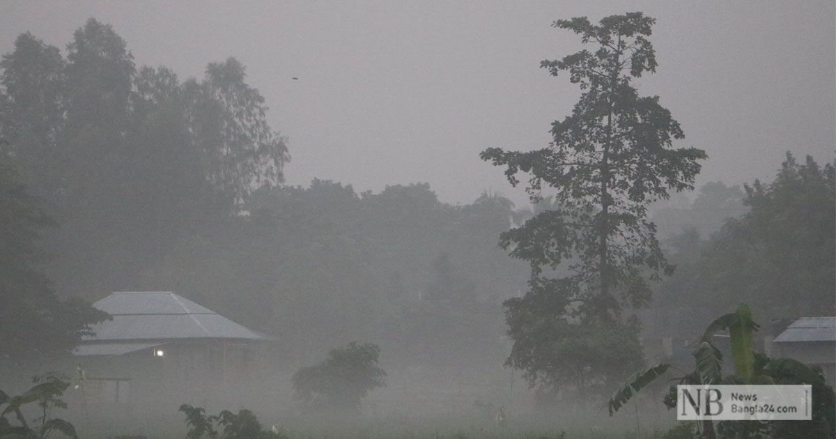 নওগাঁর-প্রকৃতিতে-শীতের-আগমনী-বার্তা