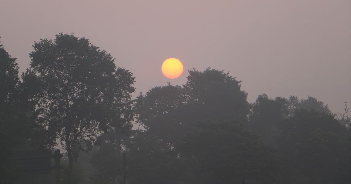 নওগাঁর প্রকৃতিতে শীতের আগমনী বার্তা