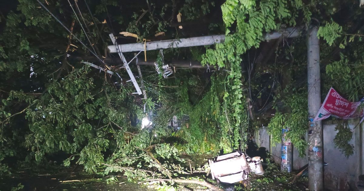 ঘূর্ণিঝড় ‘হামুন’-এর তাণ্ডবে লণ্ডভণ্ড কক্সবাজার, নিহত ৩