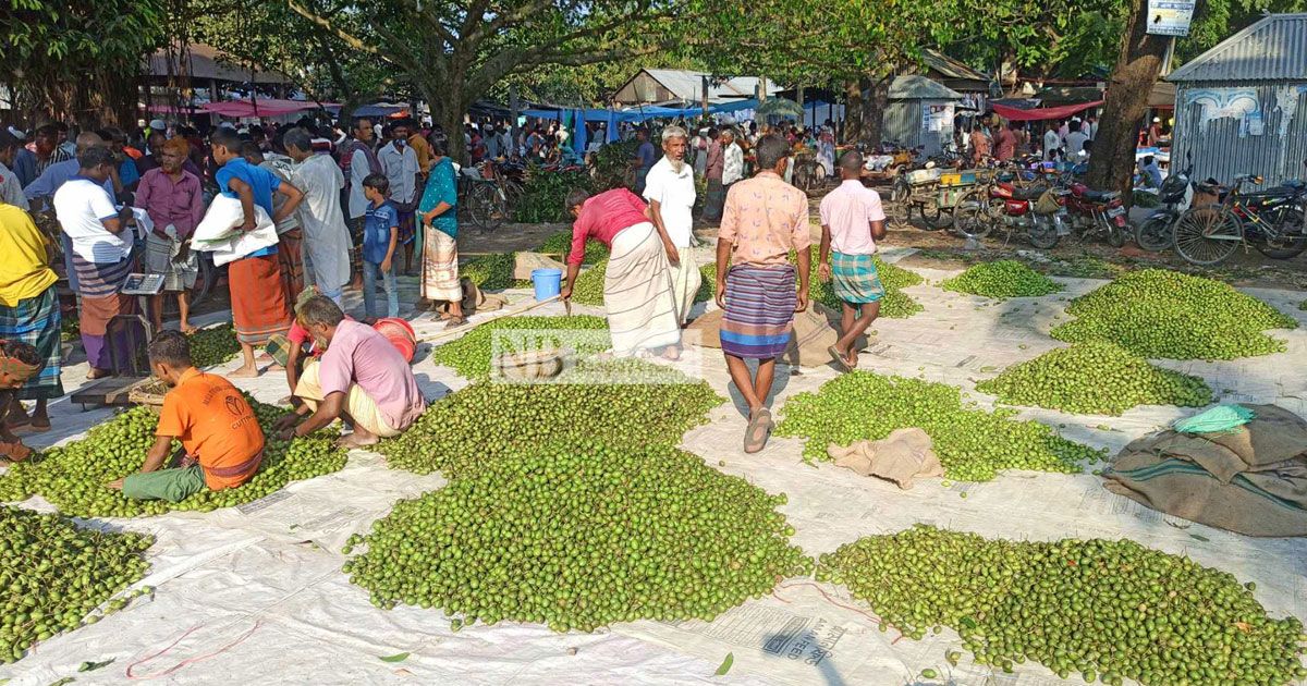 বাগবাটির জলপাইয়ের হাটে দৈনিক বেচাকেনা ৪ লাখ টাকা