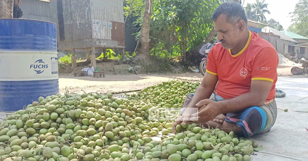 বাগবাটির জলপাইয়ের হাটে দৈনিক বেচাকেনা ৪ লাখ টাকা
