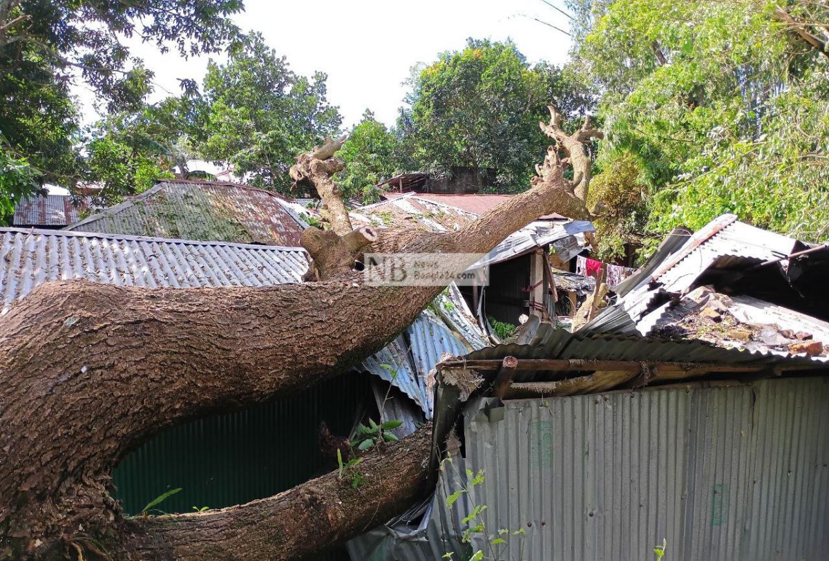 হামুনের তাণ্ডবে এক সপ্তাহ বিদ্যুৎহীন বাঁশখালী, জনভোগান্তি চরমে