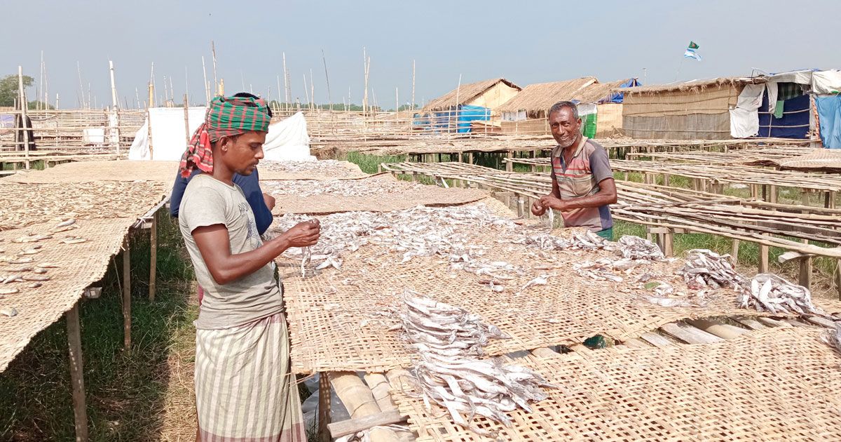 শুঁটকি আহরণ: দুবলার পথে ৩০ হাজার জেলে