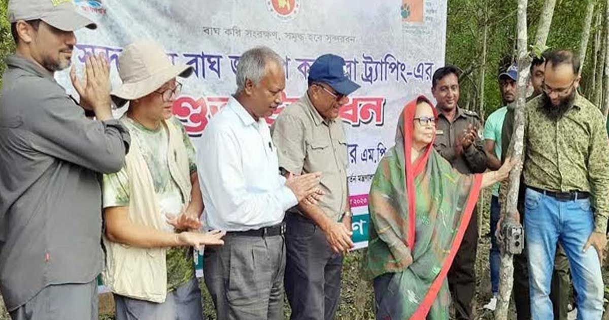 সুন্দরবনে বাঘের সংখ্যা কত জানা যাবে ২৯ জুলাই