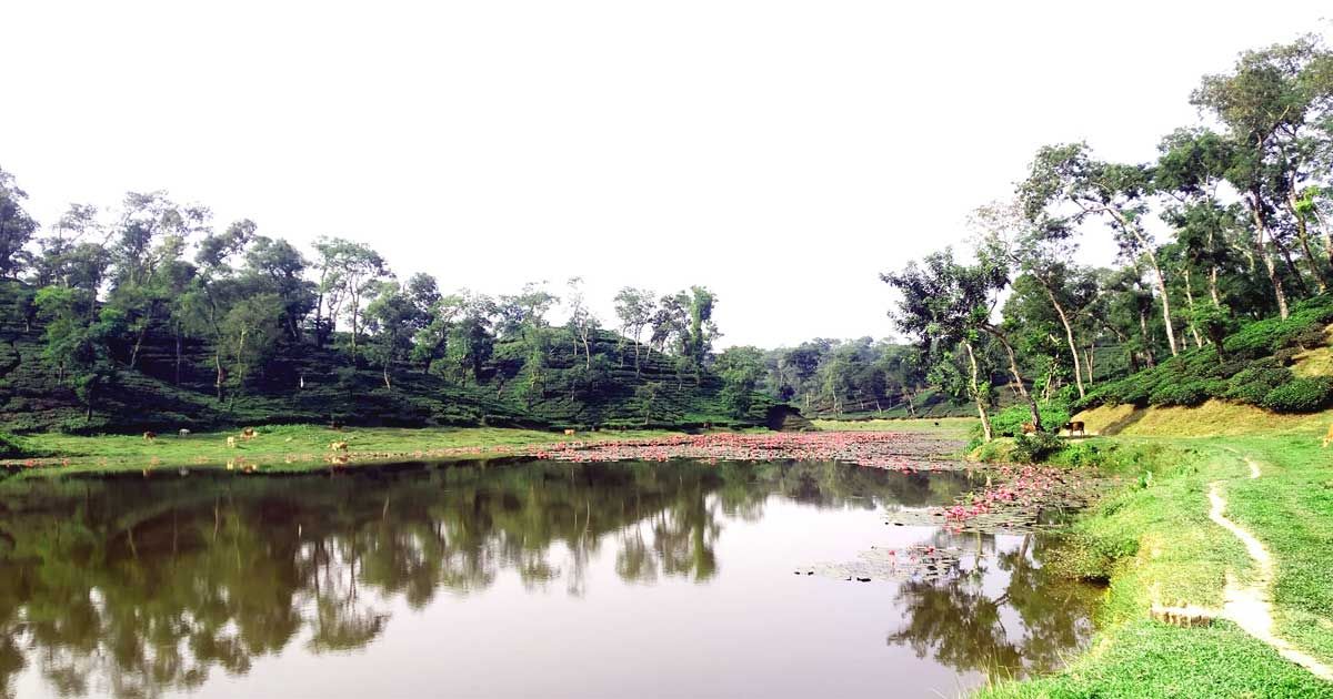 কমলগঞ্জের দৃষ্টিনন্দন বামবুতল লেক 