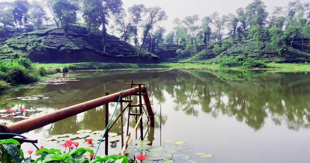 কমলগঞ্জের দৃষ্টিনন্দন বামবুতল লেক 