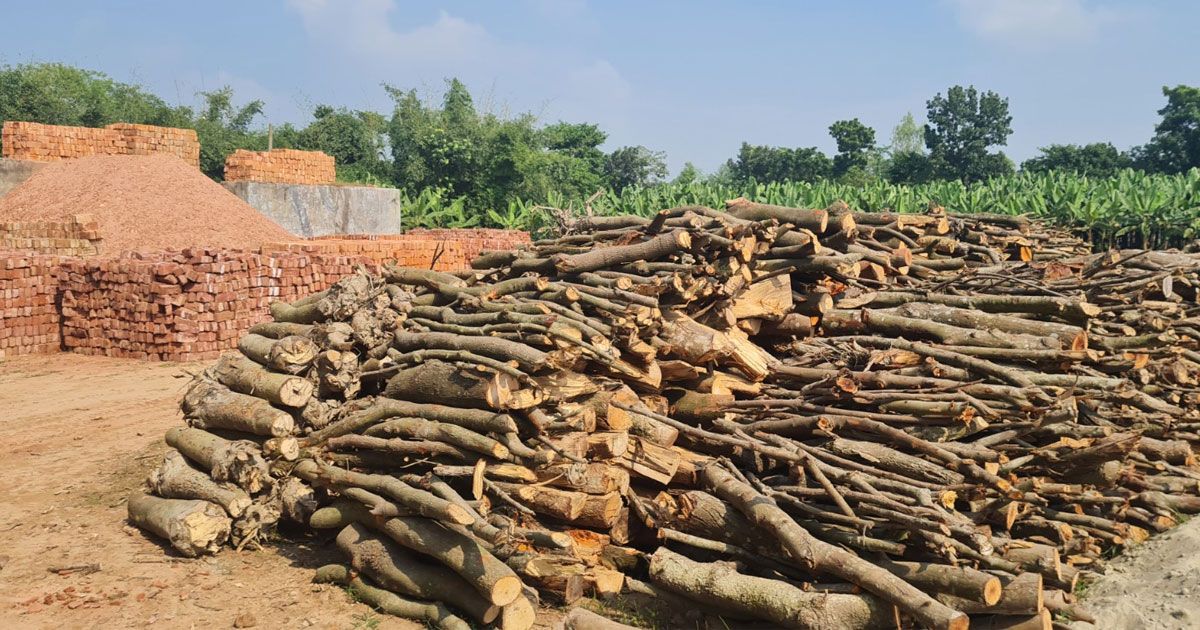 নওগাঁয় পাশাপাশি ও গ্রামের মধ্যে ইটভাটা, মজুত আছে কাঠ