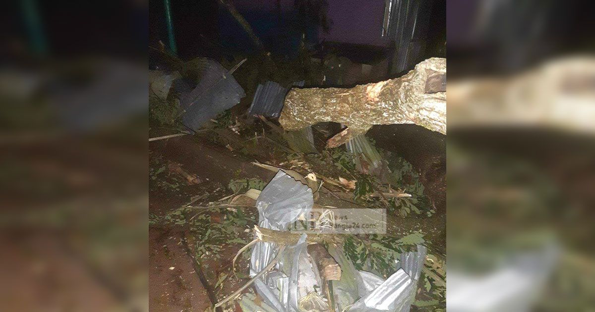 ঘূর্ণিঝড়-মিধিলি-চট্টগ্রামে-গাছচাপায়-দুজন-নিহত