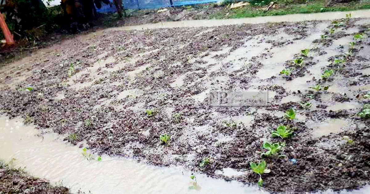 নিম্নচাপের প্রভাবে মৌলভীবাজারে জনজীবন বিপর্যস্ত