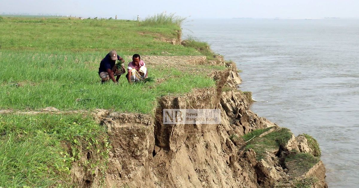 অবৈধ বালু উত্তোলনে ফসলি জমি গিলে খাচ্ছে পদ্মা