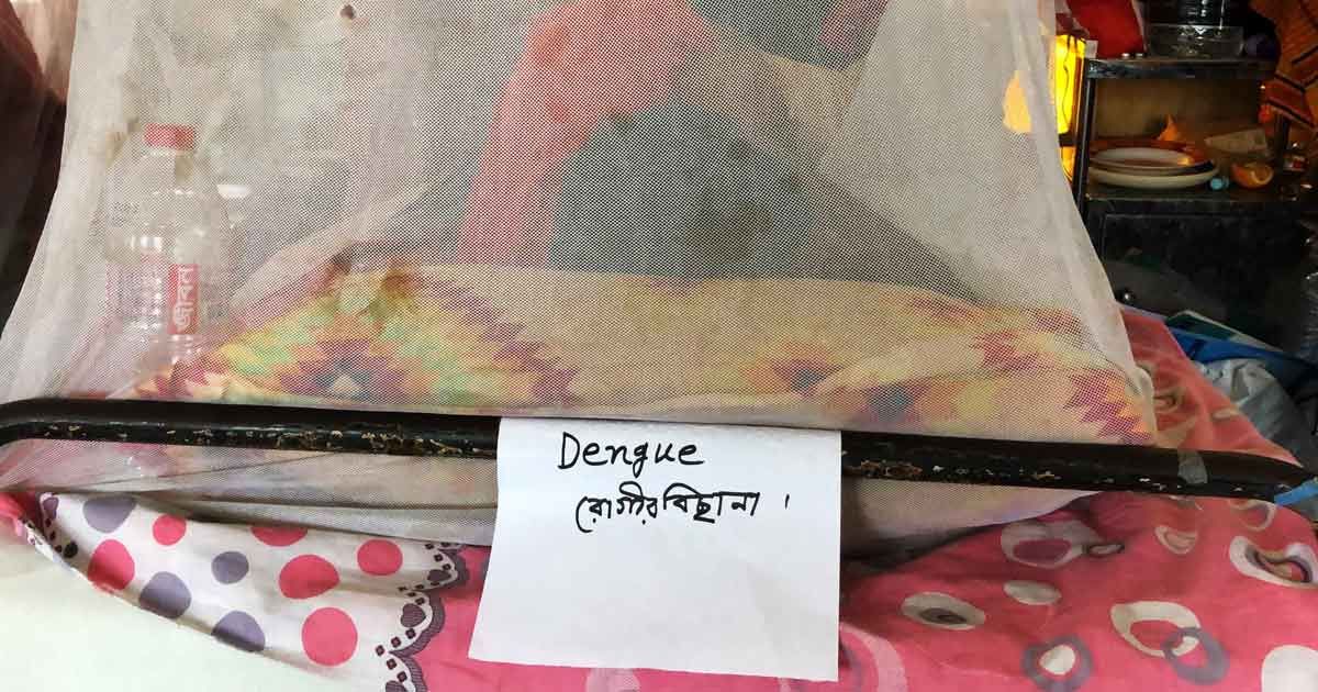 রাজশাহীতে-এক-দিনে-৪-ডেঙ্গু-রোগীর-মৃত্যু