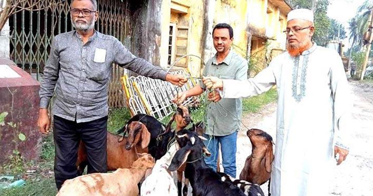 এক বছর আটক ৯ ছাগল পেলেন আওয়ামী লীগ নেতা 