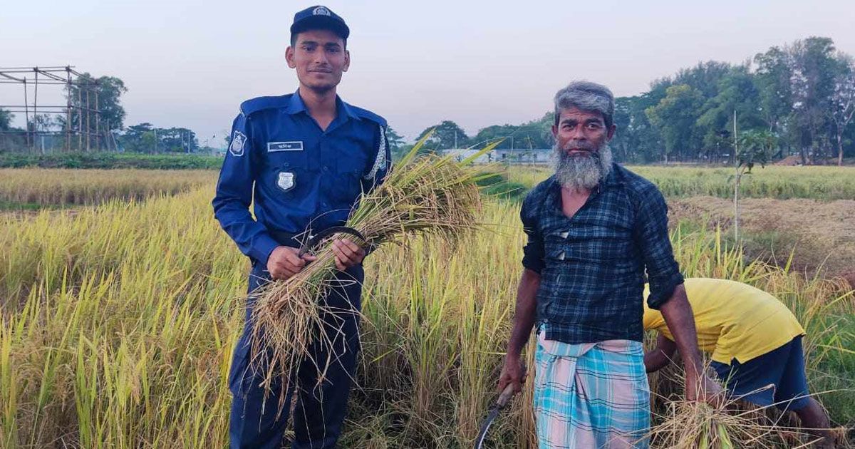 কৃষকের ধান কেটে প্রশংসায় ভাসছে দুই পুলিশ সদস্য 