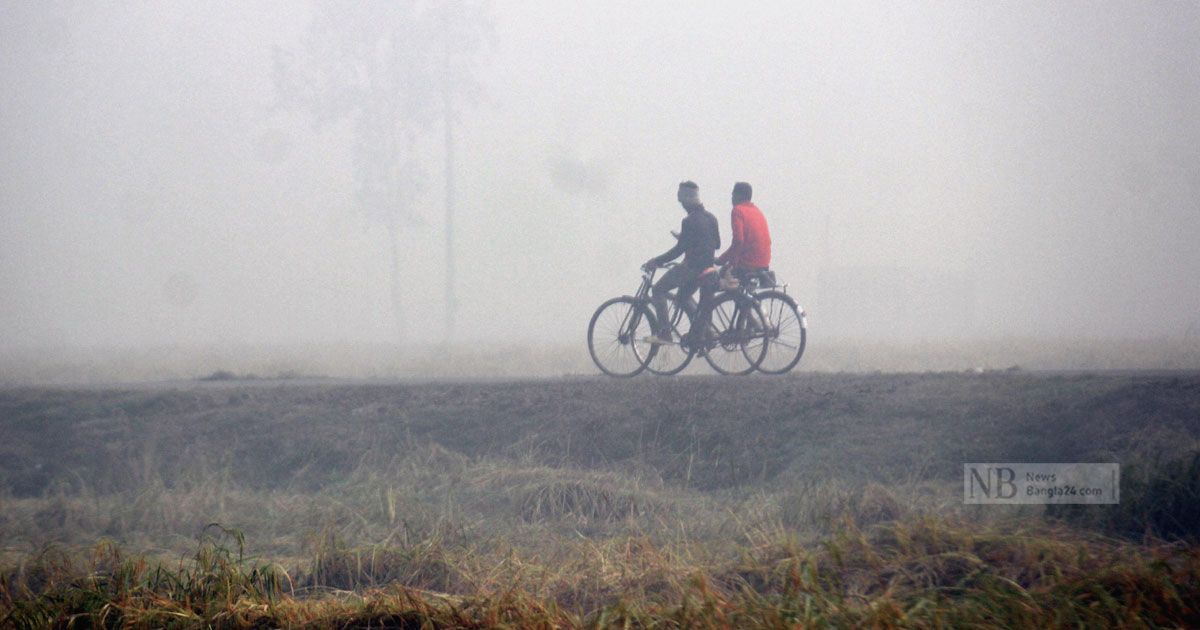 কুয়াশার চাদর মুড়ি দিয়ে দিনাজপুরে উঁকি দিচ্ছে শীত