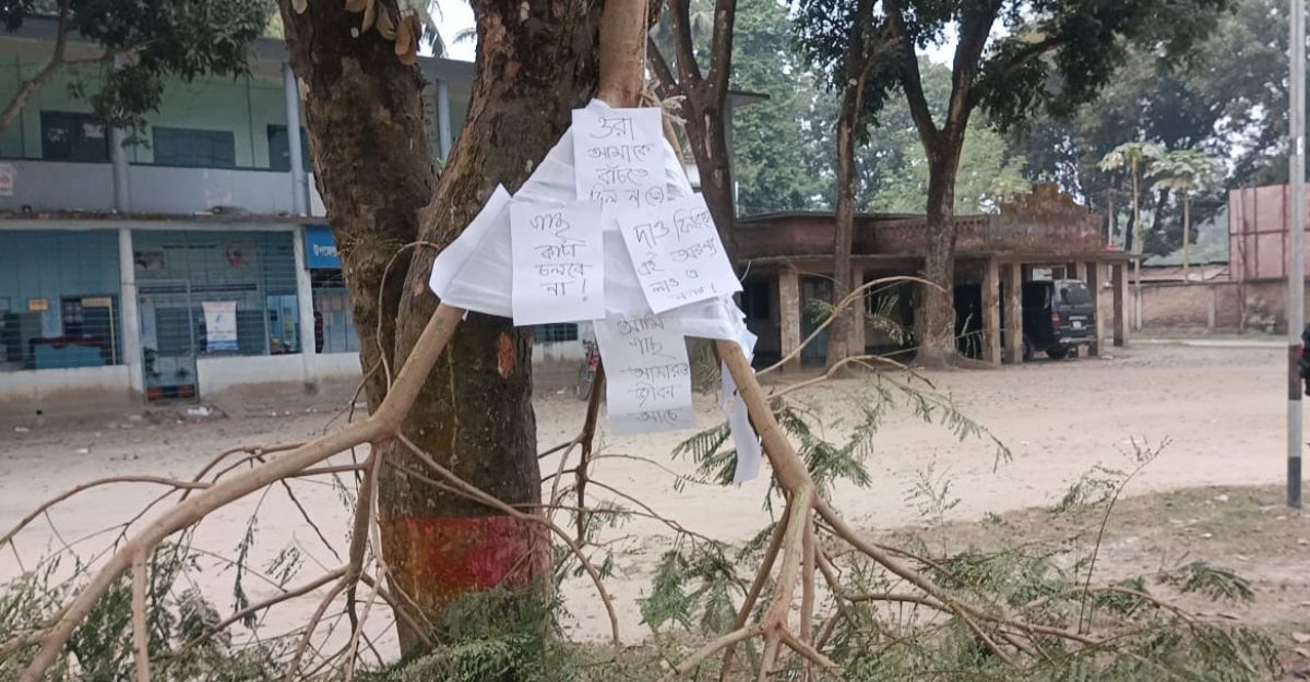 কাফনে-মোড়ানো-গাছে-লেখা-ওরা-আমাকে-বাঁচতে-দিল-না