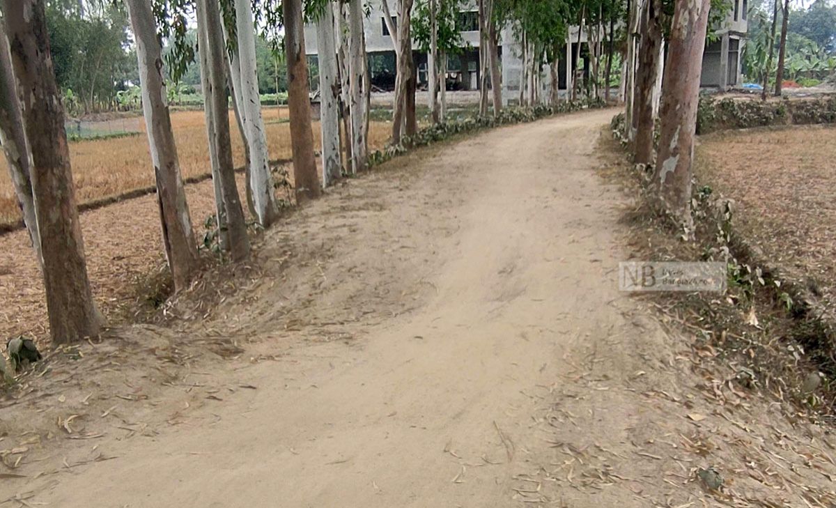 প্রকল্প কাগজে-কলমে, বাস্তবায়ন দেখিয়ে টাকা ও চাল লোপাট
