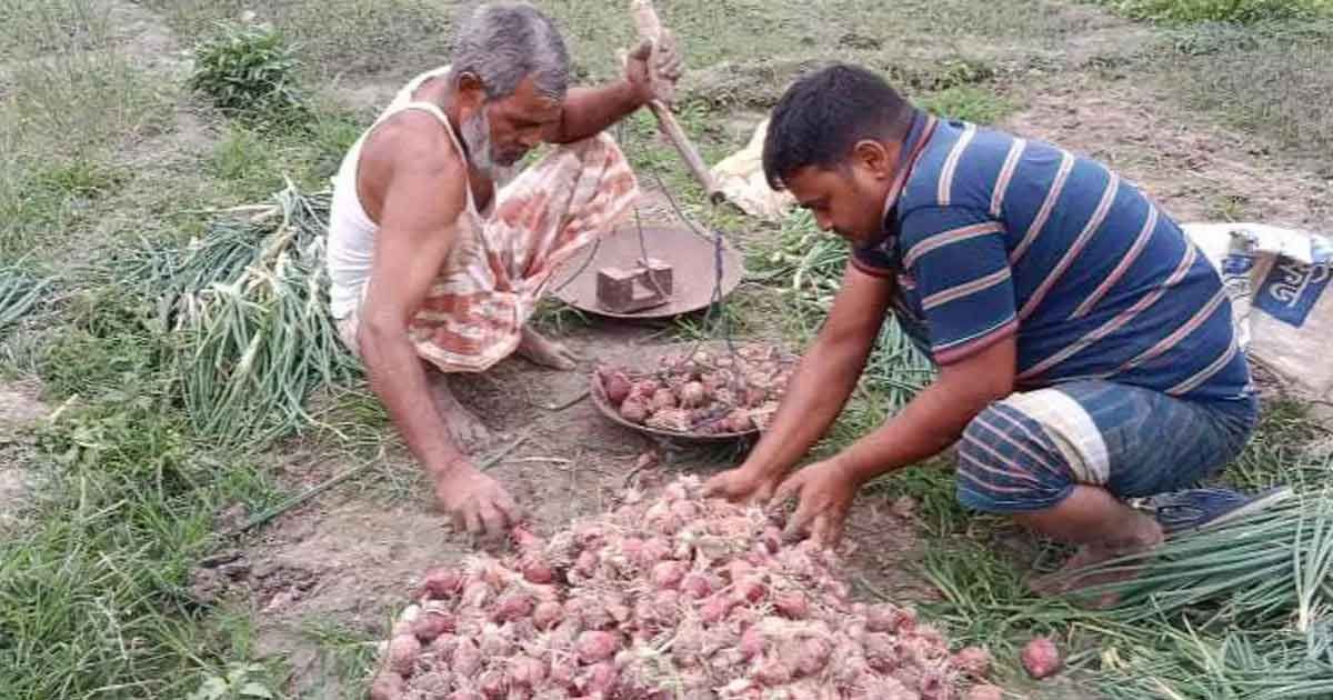 Chopped-onions-in-the-market