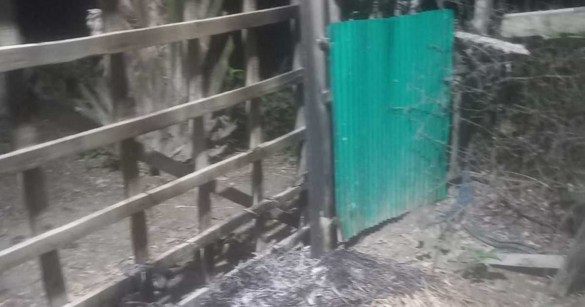 নোয়াখালীতে-স্বতন্ত্র-প্রার্থীর-সমন্বয়কের-বাড়িতে-ককটেল-ছোড়ার-অভিযোগ
