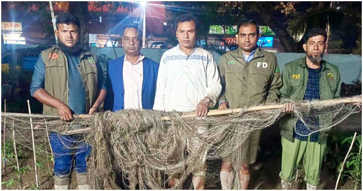 হাইল-হাওরাঞ্চলে-পাখি-শিকারের-জাল-জব্দ
