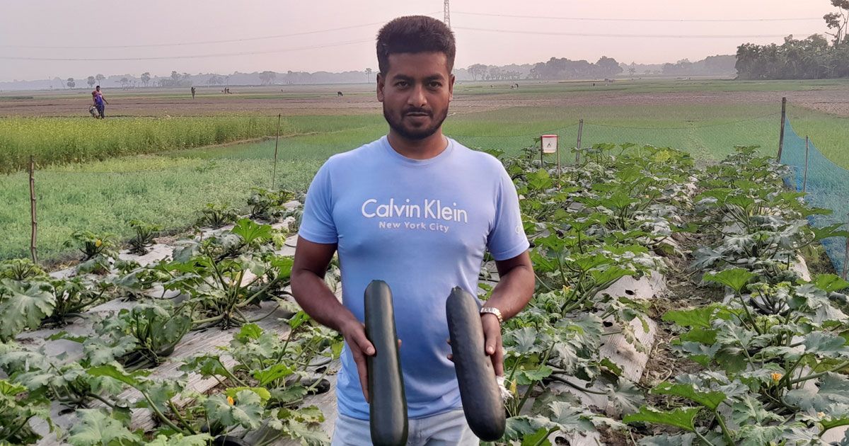 মাগুরায়-স্কোয়াশ-চাষে-বাড়ছে-আগ্রহ