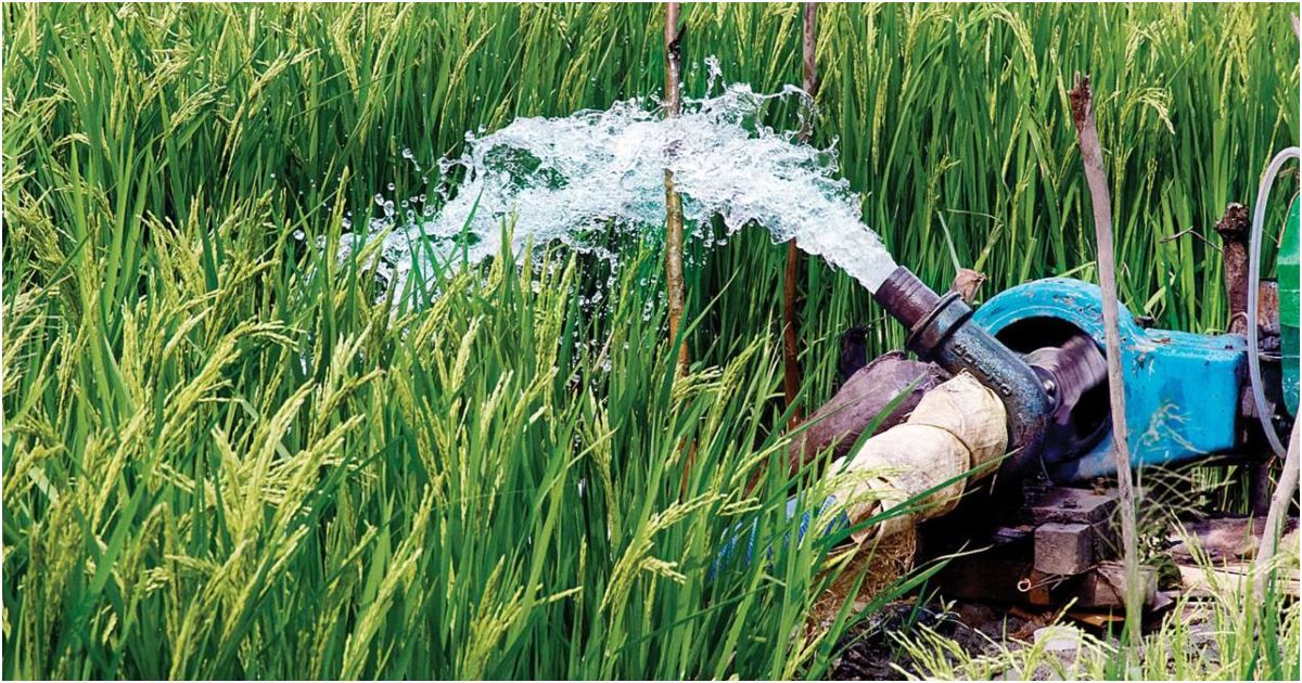 সেচ মৌসুমে বাড়তে পারে বিদ্যুতের চাহিদা