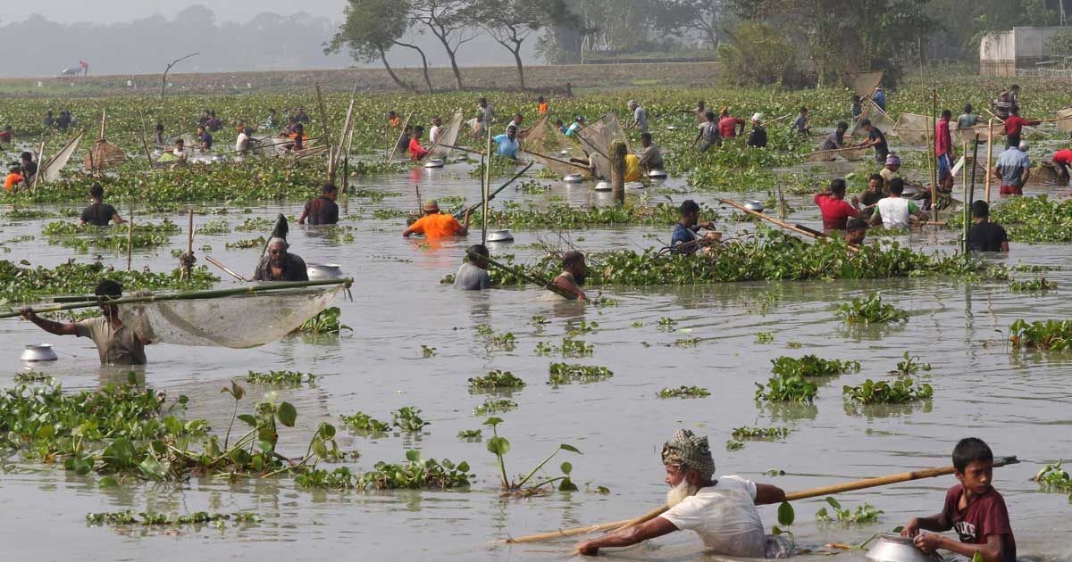 উৎসবের নাম পলো বাওয়া