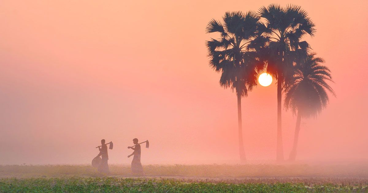 শৈত্যপ্রবাহের কবলে ২১ জেলা, তীব্রতা বাড়ছে