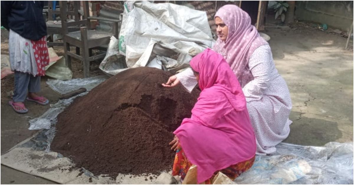 পরিবেশবান্ধব ভার্মি কমপোস্টে বাড়তি আয়