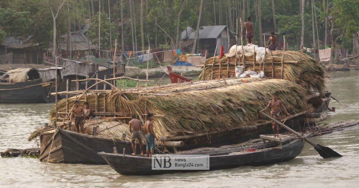 মৌসুমে সাত হাজার টন গোলপাতা আহরণের লক্ষ্য