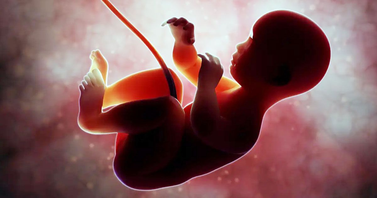 The-gender-identity-of-the-unborn-child-cannot-be-revealed