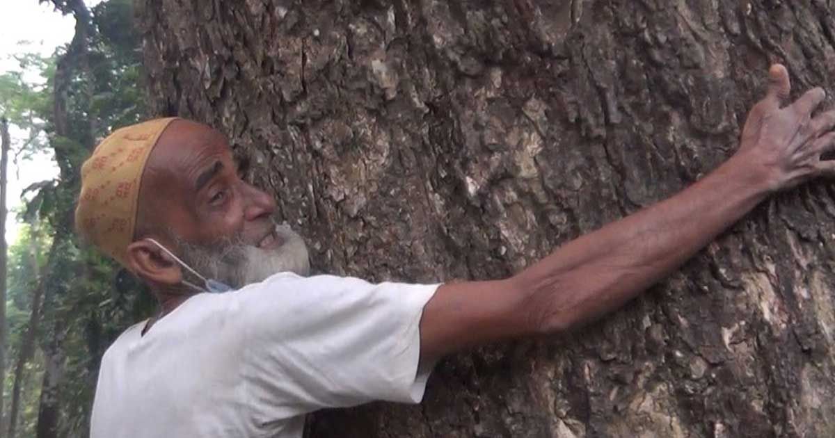 ৭০ বছরে লক্ষাধিক গাছ লাগানোর দাবি সিরাজুলের