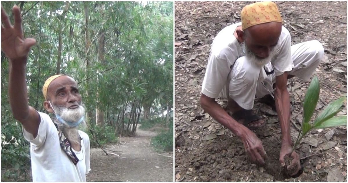 ৭০-বছরে-লক্ষাধিক-গাছ-লাগানোর-দাবি-সিরাজুলের