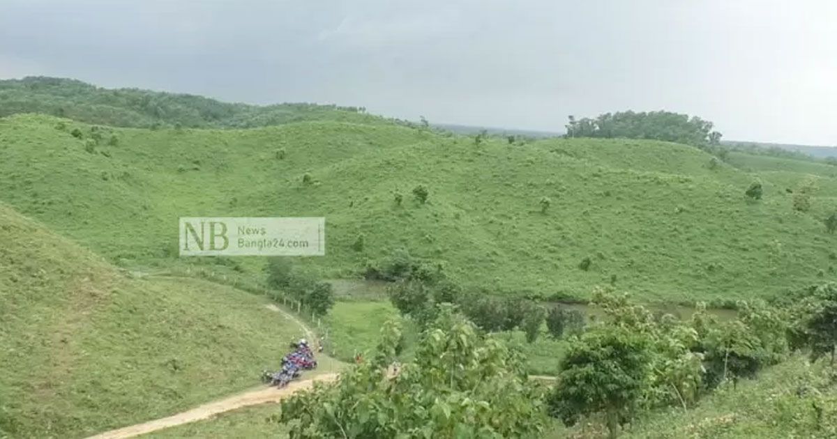 রাতে-বাড়ি-ফিরে-আসে-গরুর-পাল-কিন্তু-ফেরেনি-রাখাল-নুরুল
