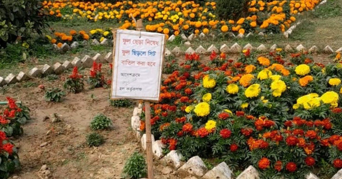 ‘ফুল ছিঁড়লে সিট বাতিল’: যা বললেন ইবির হল প্রভোস্ট