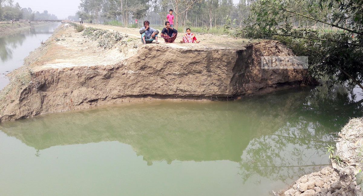 তিস্তা বাঁধে সুবিধাভোগীর কোপ, বিপাকে কৃষক