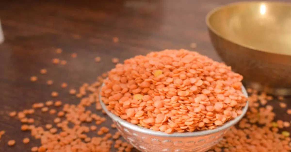 ডাল-উৎপাদন-৪-গুণ-বেড়েছে--