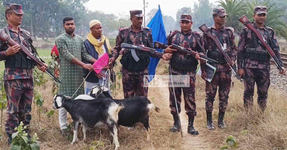 বিজিবি-বিএসএফ বৈঠকে ফেরত এলো ৩ ছাগল